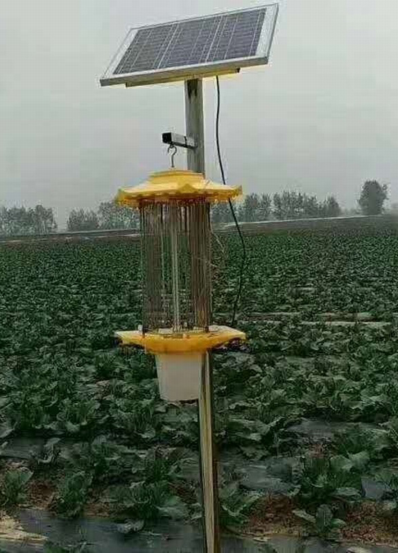 杀虫灯